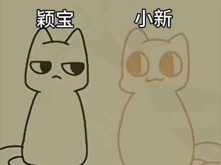 假如拉杆箱变成猫塑。。。