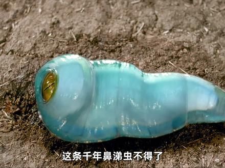 一条修炼千年的鼻涕虫，只要被它盯上就会倒大霉 #影视解说 #电影推荐 #我的观影报告 #惊悚电影