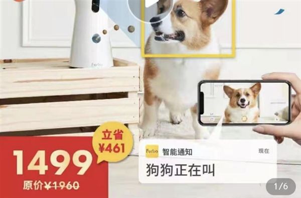 售价上千的宠物机器人 能代替 “铲屎官”养宠物吗？