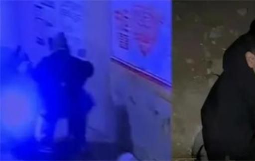 主人撞车狗子直接跑路 狗为什么胆子小