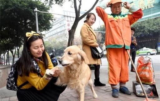 狗狗在店门口摇头晃脑招揽客人 狗狗有什么情感表现