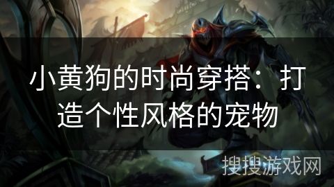 小黄狗的时尚穿搭：打造个性风格的宠物
