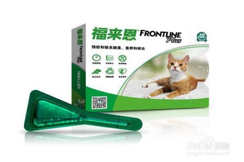 养猫应该注意些什么