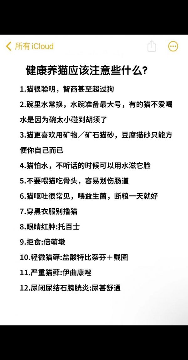 健康养猫应该注意什么？#养猫经验分享 #养猫经验分享 #科学养宠攻略 #养猫人 #养宠进阶指南