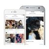 Pet Boarding PetBacker