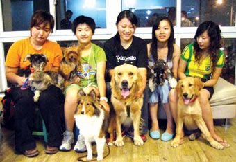 阿猫阿狗也旅游　南京首支宠物团昨赴牯牛降