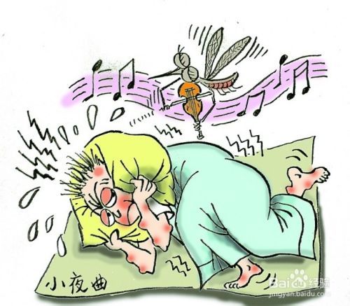 晚上蚊子多怎么办？夏天晚上蚊子多怎么办？