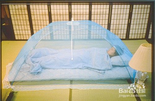 晚上蚊子多怎么办？夏天晚上蚊子多怎么办？
