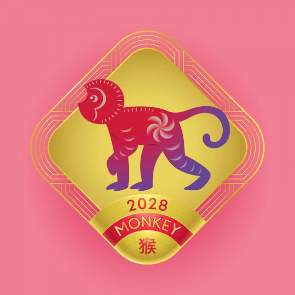 属相与宠物养宠之道：揭秘最佳搭配