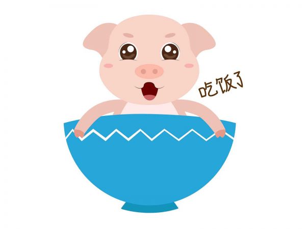 属相与宠物养宠之道：揭秘最佳搭配