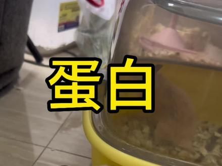 看吧买的笼子也没有用的#养鼠日常分享 #治愈小宠 #仓鼠 #养熊日记 #金丝熊 @DOU+小助手