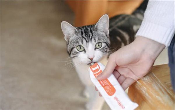 犬猫营养需求及宠物食品的开发问题探讨