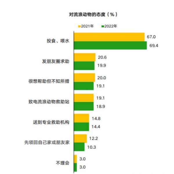 守护流浪猫咪，引领公益新风尚！好主人联合高校传递科学喂养理念