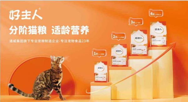 守护流浪猫咪，引领公益新风尚！好主人联合高校传递科学喂养理念