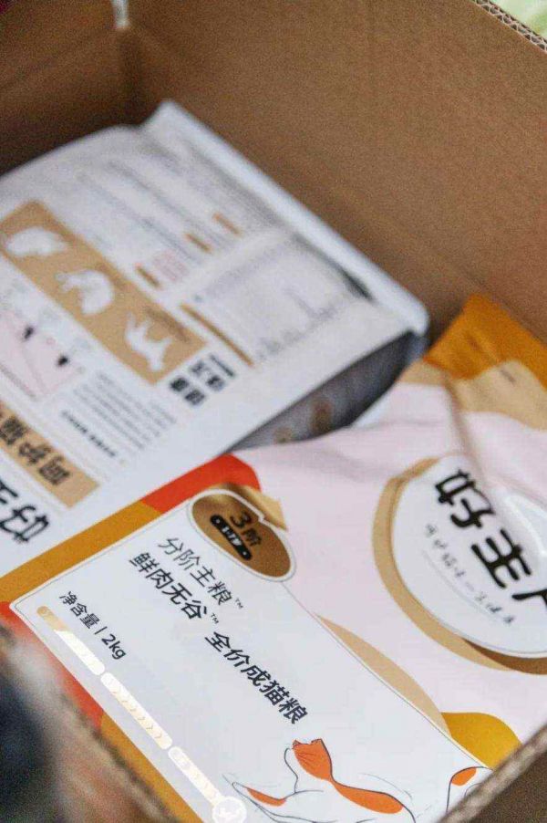 守护流浪猫咪，引领公益新风尚！好主人联合高校传递科学喂养理念