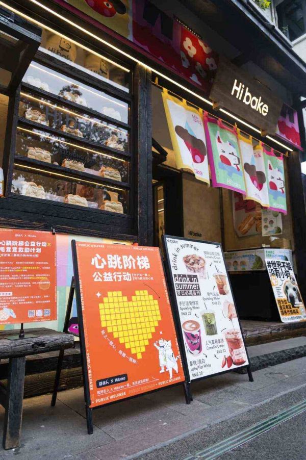 守护流浪猫咪，引领公益新风尚！好主人联合高校传递科学喂养理念