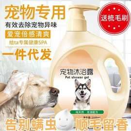 宠物沐浴露杀菌除臭杀螨金毛拉布拉多猫狗通用洗澡蓬松一件代发