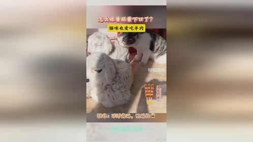怎么舔着舔着下口了