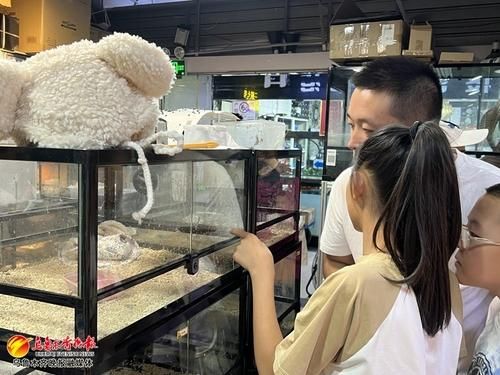 　　10月7日，顾客正在二楼七号爬宠店内欣赏异宠。记者王煜摄