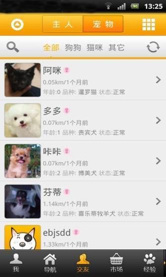 宠物交友 2