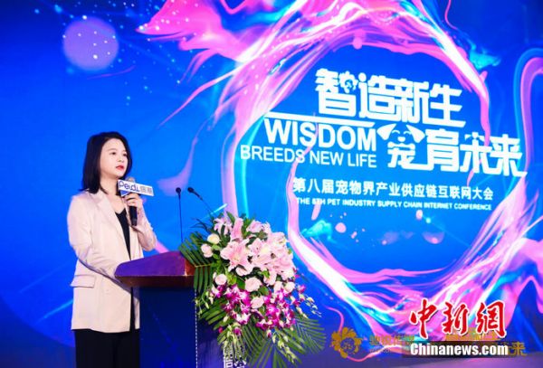 佩蒂智创 CEO 陈聂晗