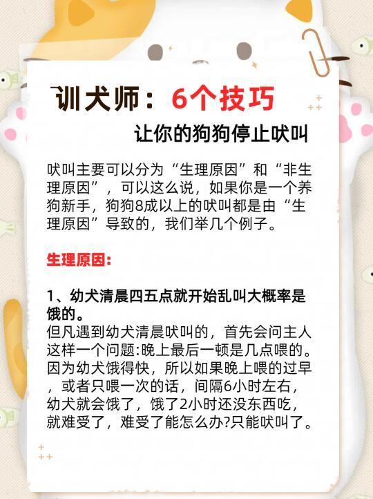 教你5招!轻松纠正狗狗乱吠行为,维护家庭和睦