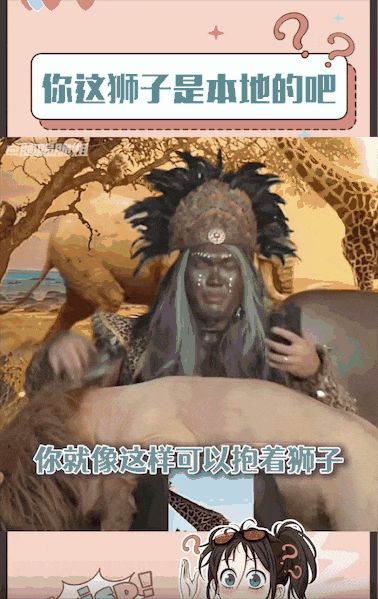 金毛在直播间里扮演非洲狮子,不到 5 分钟就睡着了,网友:原来狗子上班也有班味……