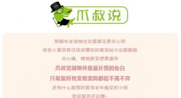 宠物也会患老年痴呆！该如何预防？