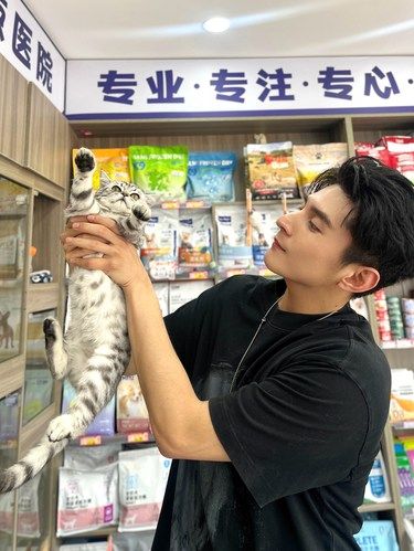 大连靠谱的宠物医院…3年养宠人真心推荐