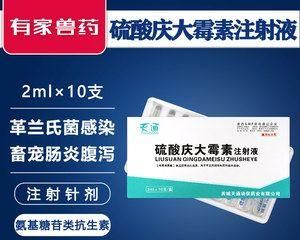 狗狗庆大霉素使用指南（如何正确使用庆大霉素保护宠物健康）