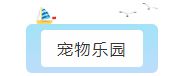 宠物乐园组队玩法：宠物梦境_梦幻西游手游 | 大神
