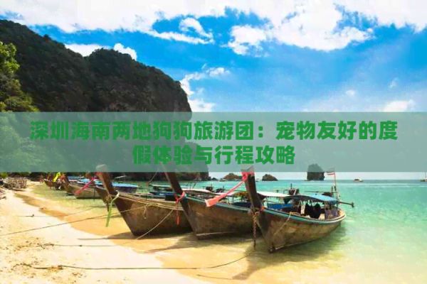 深圳海南两地狗狗旅游团：宠物友好的度假体验与行程攻略