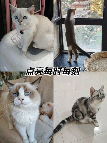 说走就走的超值小店！