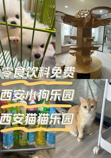 零食免费！时长不限！猫猫天堂！小狗乐园！
