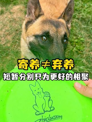 南充智多星宠物庄园宠物培训学校:短暂的分别只为更好的相聚,愿意花钱给毛孩子更好的生活环境,而不是送人弃养的主人,不应该被误解 #宠物寄养 #寄养狗 #萌宠日常记录 #狗狗寄养 #不养狗不知道养狗的乐趣