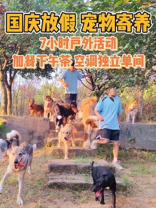 南充智多星宠物庄园宠物培训学校:国庆旅游的朋友们注意啦!狗狗没人照顾可以送智多星来度假哦! #宠物寄养 #寄养狗 #国庆节 #狗狗寄养 #国庆