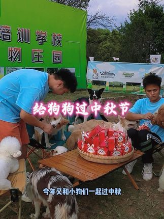 南充智多星宠物庄园宠物培训学校:给狗狗过中秋节啦~智多星的毛孩子们又是幸福的一天~ #中秋 #中抖in萌宠计划 #宠物寄养 #狗狗寄养 #南充宠物寄养