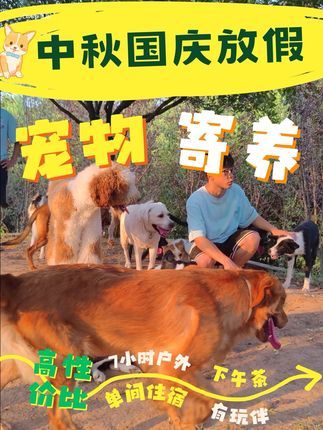 南充智多星宠物庄园宠物培训学校:中秋国庆放假还不知道哪里找宠物寄养?推荐把宝贝送来智多星宠物庄园来! #狗狗 #宠物寄养 #中秋 #训练狗狗 #狗狗寄养