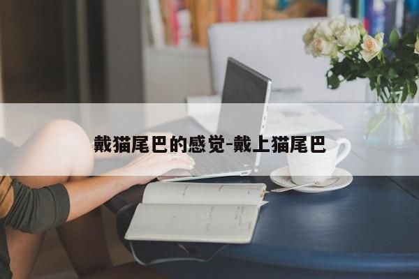 戴猫尾巴的感觉-戴上猫尾巴