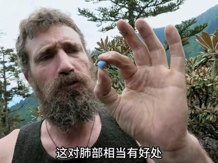 德爷荒野求生 德爷云南山区求生,捕获一头99公斤老母羊,吃上烤野鲫鱼,喝着荒野养生茶,求生堪比度假#荒野求生 #野外生存 #纪录片解说 #德爷