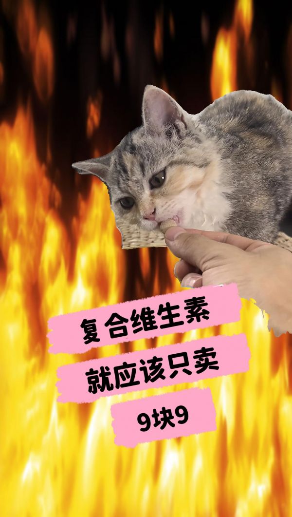 猫狗的补充营养需求你get了吗?。复合维生素,是你宠物健康的小保险#萌宠小窍门 #宠物养育 #宠物生活 #养猫知识 #科学养宠攻略