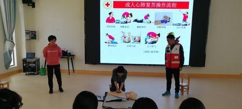 宠物紧急救护常识——如何救治犬类意外伤害（掌握紧急救护技能，让爱宠摆脱意外伤害）
