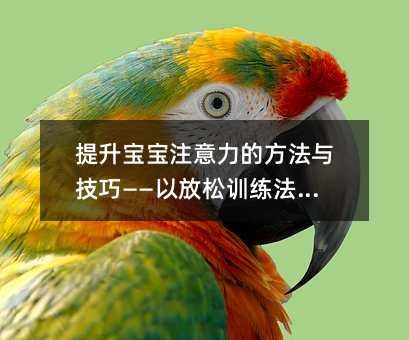 提升宝宝注意力的方法与技巧——以放松训练法为例