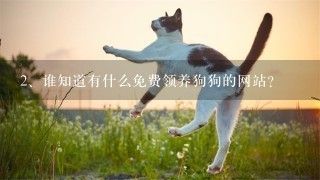 谁知道有什么免费领养狗狗的网站？