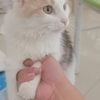 找一个好点的家庭