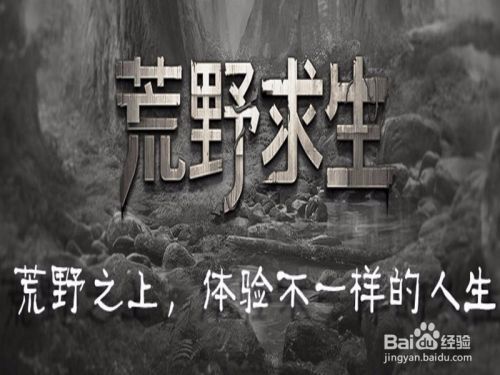 荒野求生游戏怎么玩