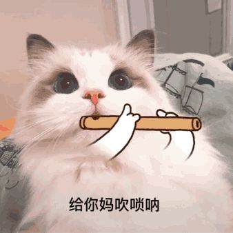 海蓝重点色布偶猫详解，附布偶猫繁育配色表