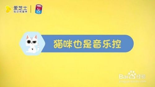 适合猫咪听的音乐