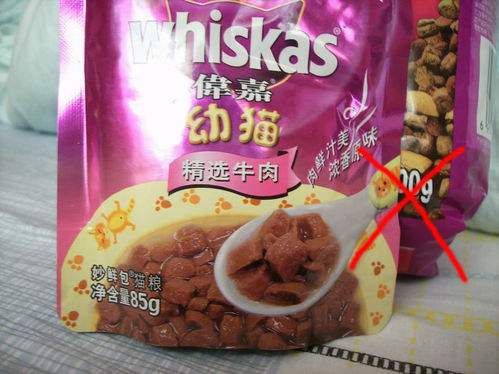 喂养狗狗的禁忌