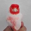 徐家玉鸟头像